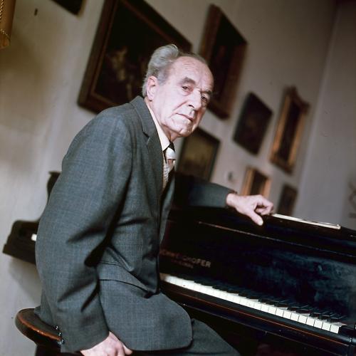 BRAVNIČAR Matija 