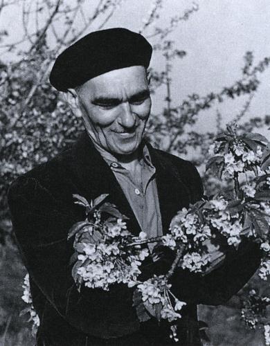 KOCJANČIČ Karlo